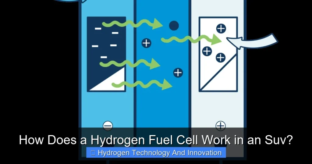 How Does a Hydrogen Fuel Cell Work in an Suv?