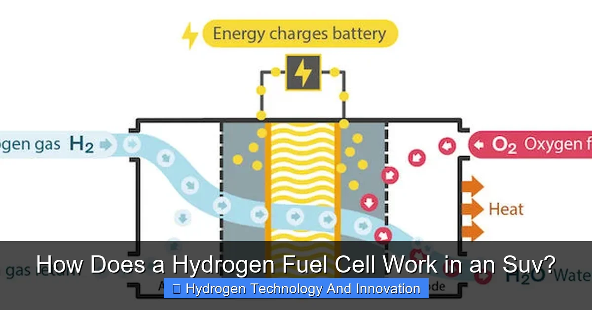 How Does a Hydrogen Fuel Cell Work in an Suv?