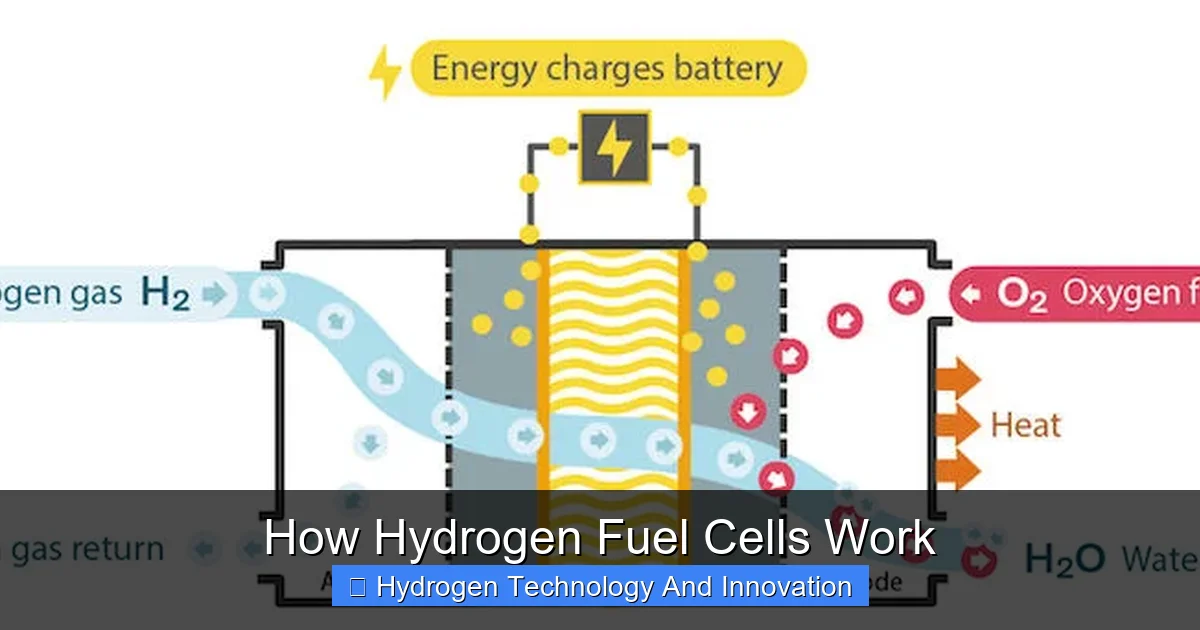 How Hydrogen Fuel Cells Work