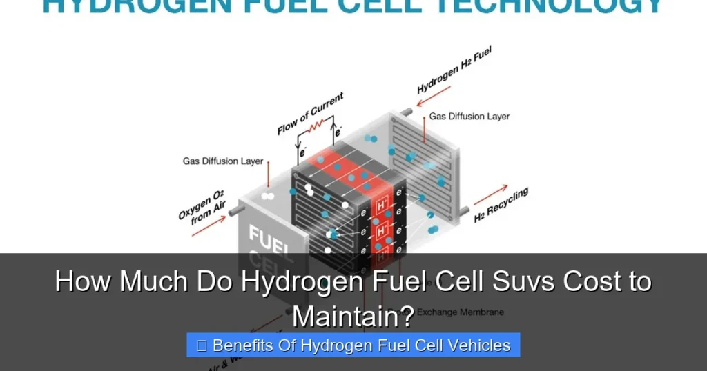How Much Do Hydrogen Fuel Cell Suvs Cost to Maintain?