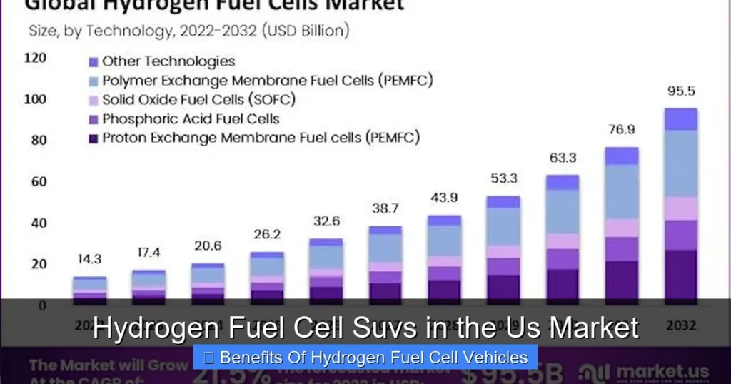 Hydrogen Fuel Cell Suvs in the Us Market