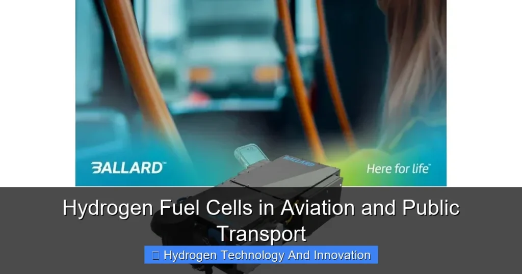 Hydrogen Fuel Cells in Aviation and Public Transport