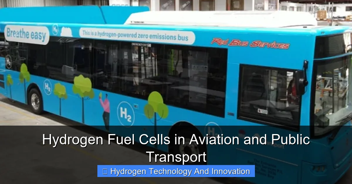 Hydrogen Fuel Cells in Aviation and Public Transport