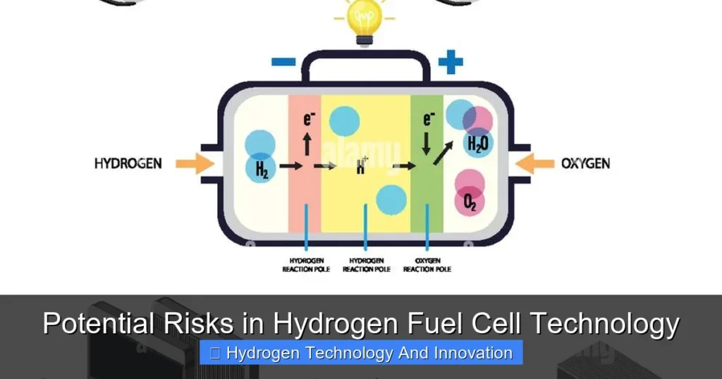 Potential Risks in Hydrogen Fuel Cell Technology