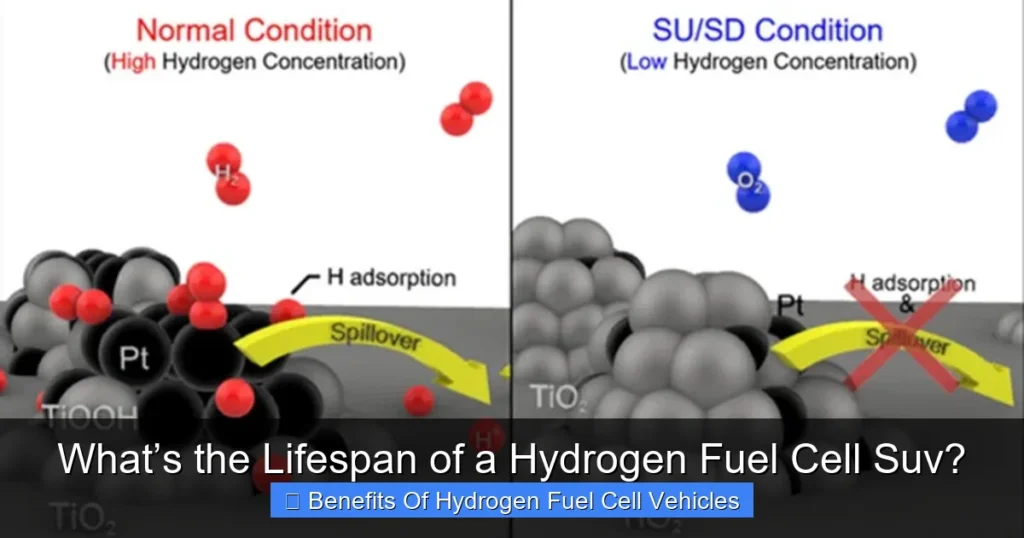 What’s the Lifespan of a Hydrogen Fuel Cell Suv?