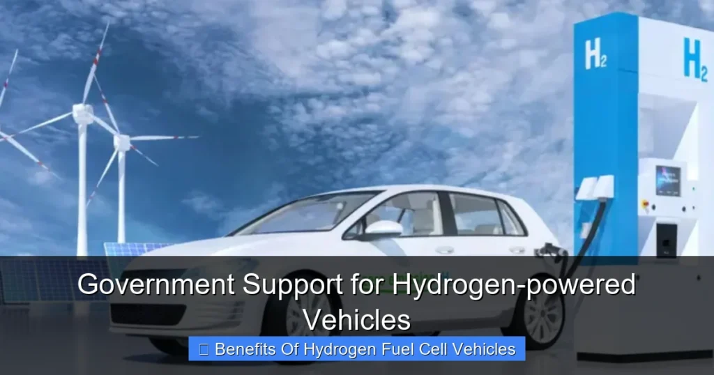 Government Support for Hydrogen-powered Vehicles