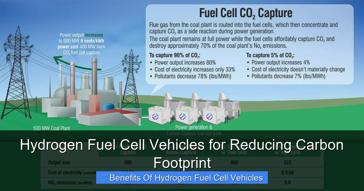 Hydrogen Fuel Cell Vehicles for Reducing Carbon Footprint