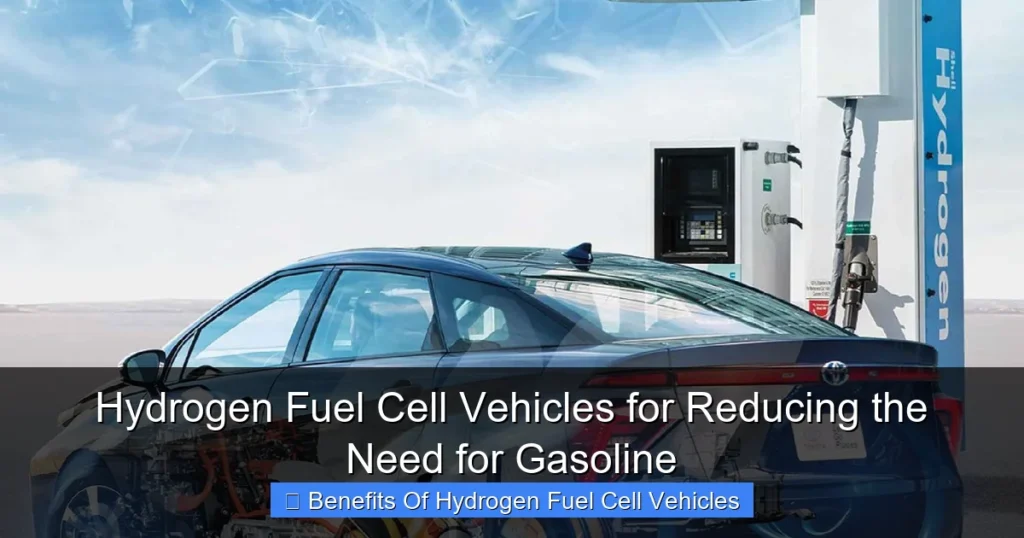 Hydrogen Fuel Cell Vehicles for Reducing the Need for Gasoline
