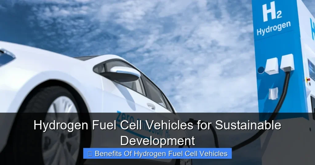 Hydrogen Fuel Cell Vehicles for Sustainable Development