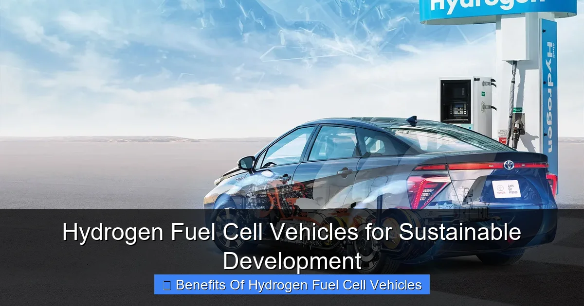 Hydrogen Fuel Cell Vehicles for Sustainable Development