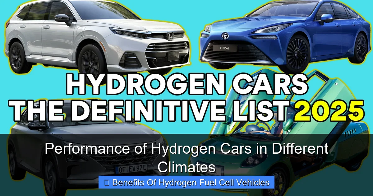 Performance of Hydrogen Cars in Different Climates